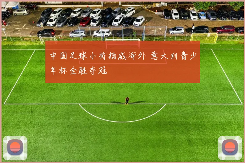 中国足球小将扬威海外 意大利青少年杯全胜夺冠