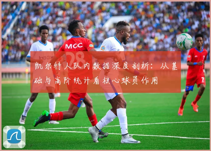 凯尔特人队内数据深度剖析:从基础与高阶统计看核心球员作用